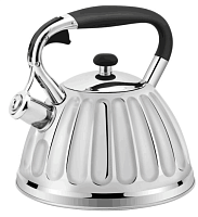 HR725-2 ЧАЙНИК СО СВИСТКОМ 3,0Л HAUS ROLAND (HY-50403-5A-5-12)