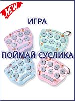 962-W 137 Игрушка "поймай суслика" (HY-30101-4-4-400)